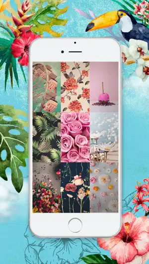 高清花卉壁纸 - 有趣的锁屏背景和盛开的花朵主题为iPhone