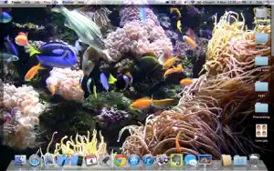 水族馆锁屏动态壁纸 HD