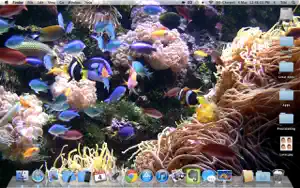 水族馆锁屏动态壁纸 HD